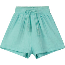 Load image into Gallery viewer, Palm Spring Turquoise Shorts..
